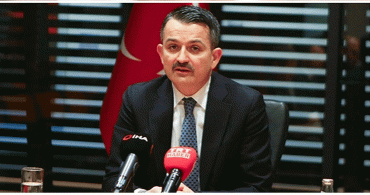 Hayvanlara işkence Yapanlara Cezalar Artacak