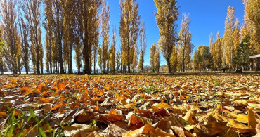 Hazar Gölü Sonbaharın Güzelliklerini Sunuyor