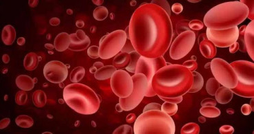 Hematoloji Nedir? Hangi Hastalıklara Bakar?