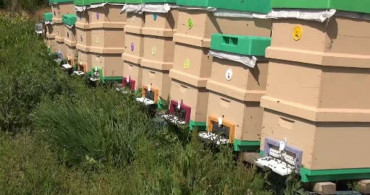 Hendek'te Yoğun İlgiyle Açılan Arı Yetiştiriciliği Kursu