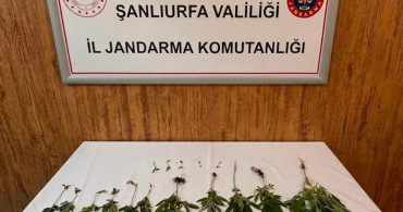Hilvan'da uyuşturucu madde ele geçirildi