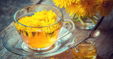 Hindiba nedir, faydaları nelerdir, neye iyi gelir? Hindiba çayı ve kahvesi nasıl demlenir? Vitamin zengini hindibanın yararları