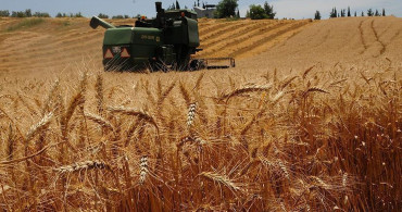 Hindistan'dan çağrı! Kotalar kaldırılsın, dünya doysun