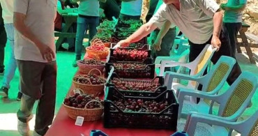 Hisarcık Kutlubeyler köyünde kiraz festivali coşkusu