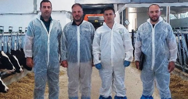 Hisarcık'ta hastalıktan ari büyükbaş işletme belgesi için test uygulandı