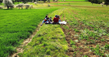 Hisarcık'ta Tarımsal Saha Çalışmaları Gerçekleştirildi