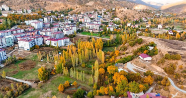 Hizan Ormanları Sonbaharda Renk Cümbüşüne Dönüşüyor