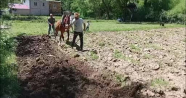 Hizan'da Geleneksel Tarım Yöntemleri Devam Ediyor