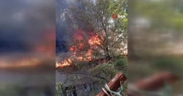 Hizan’da kereste atölyesi yangını: ev ve mezarlık zarar gördü