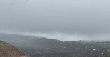 Hizan'da Yoğun Sis Hayatı Olumsuz Etkiledi