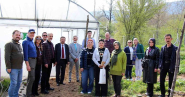 Hollanda Heyeti Kütahya'da Blueberry Yatırımlarını İnceledi