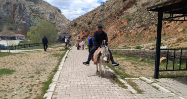 Homurlu'da Eşek Turları Başladı