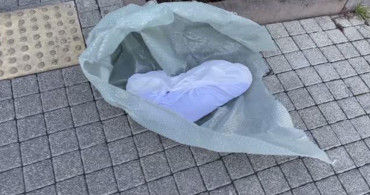 İBB Binası Önünde Ölü Köpek Skandalı!