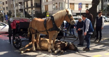 İBB Meclisi’nde Onaylandı: Faytonları İBB Satın Alacak