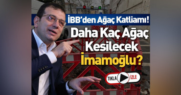 İBB ve Ekrem İmamoğlu'na tepki: Bu bir ağaç katliamıdır