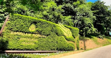 İBB'nin ağaç kesme çalışmalarının yeni adresi Sarıyer'deki Emirgan Korusu!