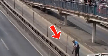 İETT Ekipleri Yavru Kedileri Kurtardı
