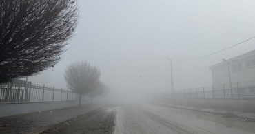 Iğdır, Kars ve Ardahan'da Soğuk Hava ve Sis Etkili