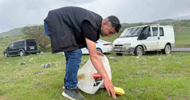 Iğdır'da Korhan Yaylası'na Yaz Akını
