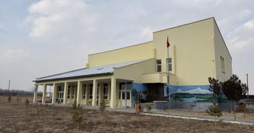 Iğdır'daki Sahipsiz Köpek Sorunu Çözüme Kavuştu