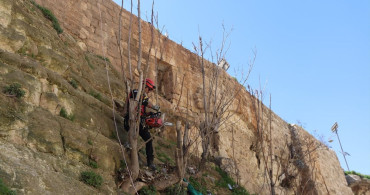 İHH'dan Halep Kalesi'nde Temizlik ve Düzenleme Faaliyetleri
