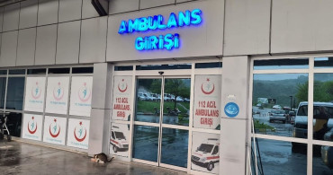 Ihlamur ağacından düşen kadın yaralandı