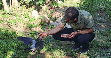İhsan Cesur'un kargalarla kurduğu derin bağ