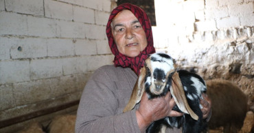 İkinci Yılını Dolduran Depremler ve Hayvancılıkta Devlet Desteği