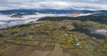 Ilgaz Dağı'nda Etkili Olan Sis Görüntülendi