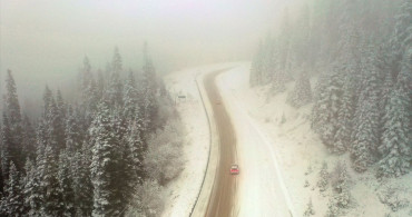 Ilgaz Dağı'nda Kar ve Sis Manzarası