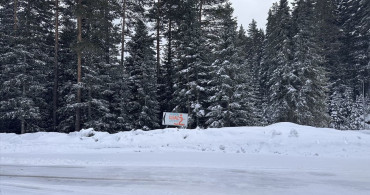 Ilgaz Dağı'nda Kar Yağışı ve Sis Etkisi