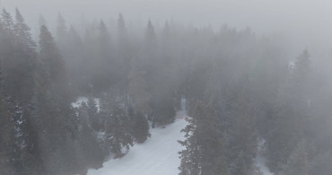 Ilgaz Dağı'nda Yoğun Sis ve Kar Yağışı Hüküm Sürüyor