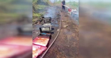 İncirliova'da çıkan yangında arı kovanları zarar gördü