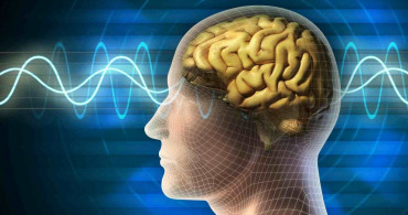 İnsan beyninin ideal sıcaklığı ne kadardır? İnsan beyninin sıcaklığı kaç derece olmalıdır? İnsan beyninin ideal sıcaklığını öğrenince çok şaşıracaksınız!