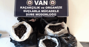 İran Uyruklu 4 Kişi Trüf Mantarı Kaçarırken Yakalandı