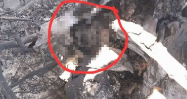 İran'dan Düşürülen Uçakta ABD Askerine Ait Vücut Parçası İddiası