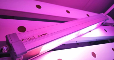 Işık Reçetesi ile Tarımda Devrim Yaratıyorlar