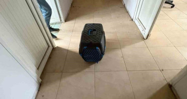 İskenderun'da Rögar Borusuna Düşen Yavru Kediler Kurtarıldı