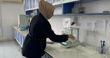 Isparta'da Ak Zambak Üretim Süresini Kısaltma Çalışmaları