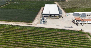 Isparta'daki Elma Stoku için Kritik Uyarı