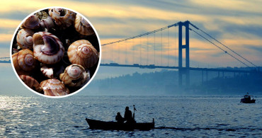 İstanbul Boğazı'nda Milyon Dolarlık Av!