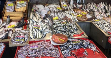 İstanbul'da ve Karadeniz'de Avlanma Yasağı