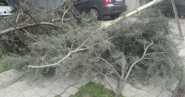 İstanbul'daki Şiddetli Lodos Hayatı Olumsuz Etkiliyor