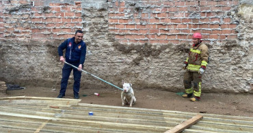 İtfaiye Ekipleri Kapalı Çukurda Sıkışan Köpeği Kurtardı
