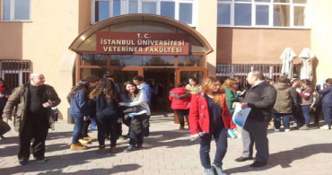 İÜ Veterinerlik Fakültesi'nde Eğitime Ara Verildi