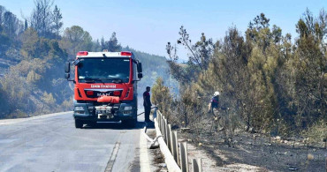 İzmir itfaiyesi bukalemunu hayata döndürdü