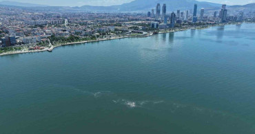 İzmir Körfezi'nde Dron ile Tespit Edilen Kirlilik Sorunu