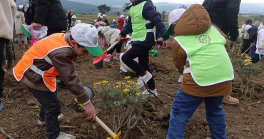 İzmir'de 100 Bin Fidan Dikildi