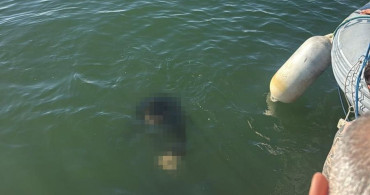 İzmir'de Akülü Tekerlekli Sandalyeden Denize Düşen Engelli Hayatını Kaybetti