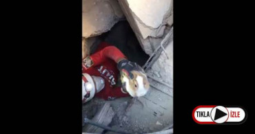 İzmir'de Depremin Ardından Enkaz Altından Bir Tavşan Canlı Kurtarıldı